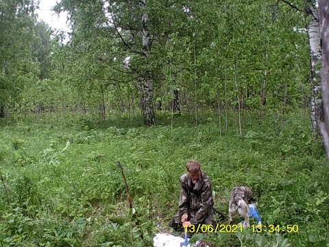 Видео: делаю солонцы для косули!