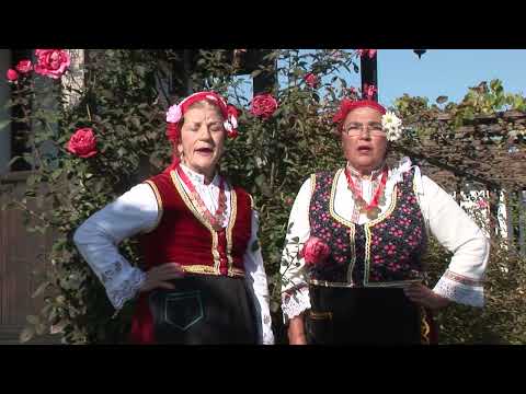 Видео: Дует Димитрина Симова и Божанка  Николова- Стоян Иринка думаше