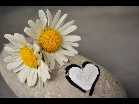 Видео: PARA-D    Ты, да я, да мы с тобой  - Вокальный дуэт - Вера и Владимир Демченко