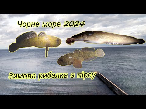 Видео: Рибалка на ЧОРНОМУ МОРІ зимою.Ловимо налімів та бичків.