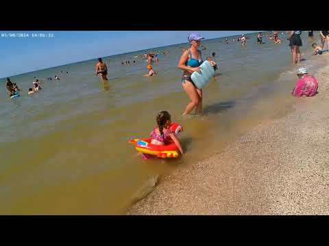 Видео: Лиман и центральный пляж сегодня!!! Август 2024г.