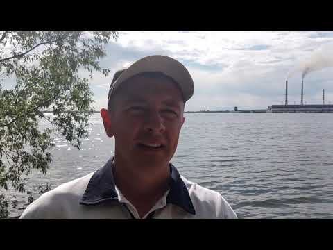 Видео: Риболовля  на Бурштинському водосховищі.Карась в ночі.