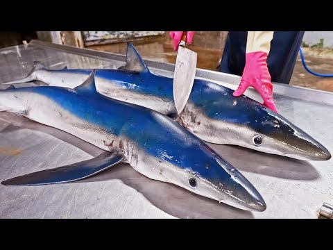 Видео: Удивительные навыки резки акул, приготовление рецептов акул и приготовление пищи