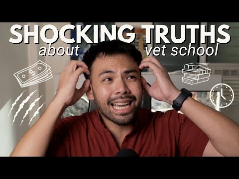 Видео: Что я хотел бы знать до поступления в ветеринарную школу (то, о чем вам никто не расскажет!)