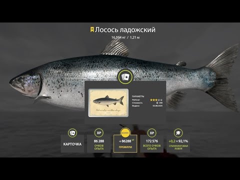 Видео: НОВЫЙ ФАРМЫ И РАЗДАЧИ ТРОФОВ НА ЛАДОЖСКОМ ОЗЕРЕ, УСАЧ НА АХТУБЕ, МЕДНОЕ И МОРЕ В РУССКОЙ РЫБАЛКЕ 4