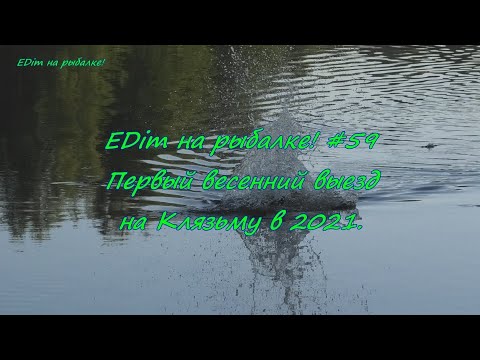 Видео: EDim на рыбалке! #59   Первый весенний выезд на Клязьму в 2021 г.
