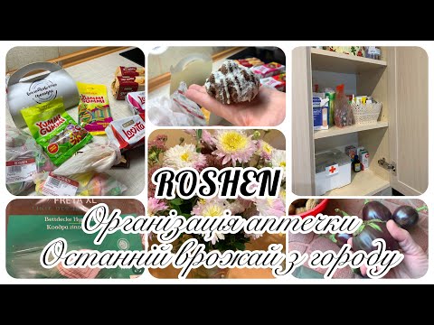 Видео: ROSHEN// ЦІНИ В РОШЕН// ОРГАНІЗАЦІЯ АПТЕЧКИ//ВРОЖАЙ З ГОРОДА//МОТИВАЦІЯ НА ПРАСУВАННЯ