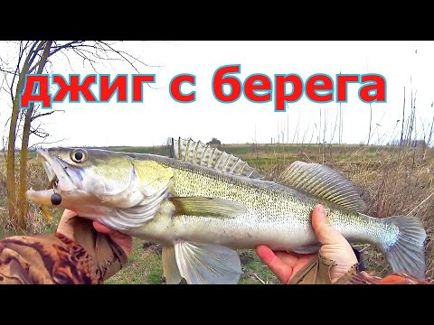 Видео: Ловля судака на спиннинг зимой с берега. Рыбалка на джиг