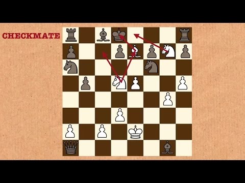 Видео: Число возможных шахматных партий (RUS)