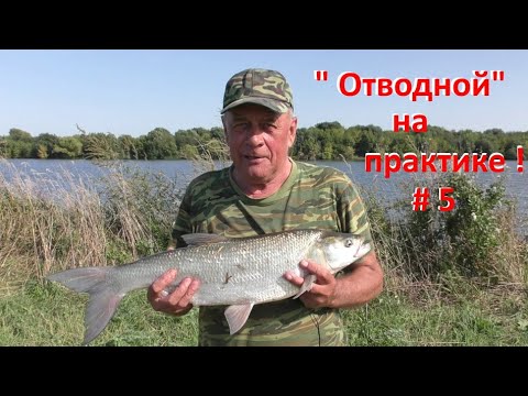 Видео: "ОТВОДНОЙ"! Часть 5. Ловля с БОНУСОМ!!!