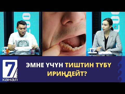 Видео: ЭМНЕ ҮЧҮН ТИШТИН ТҮБҮ ИРИҢДЕЙТ?