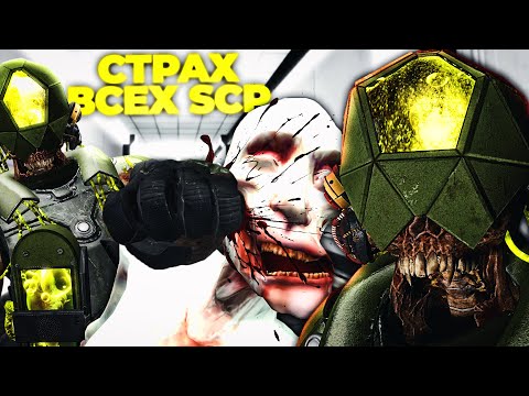 Видео: НОВЫЙ SCP - SCP-610 НЕНАВИДЯЩАЯ ПЛОТЬ! МЕНЯ БОЯТСЯ ВСЕ SCP ОБЪЕКТЫ в Garry's Mod SCP RP [GMOD]