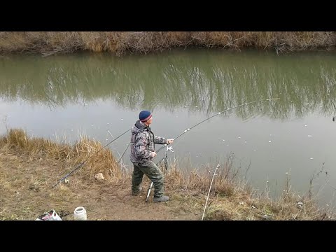 Видео: Щука на поплавочную удочку, на живца! ЖОР щуки перед ледоставом!!!