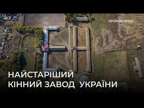 Видео: Новодеркульський кінний завод