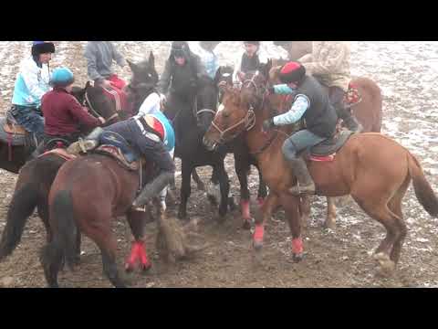 Видео: Жетісай Көкпар арты төбелес боп кетті кокпар
