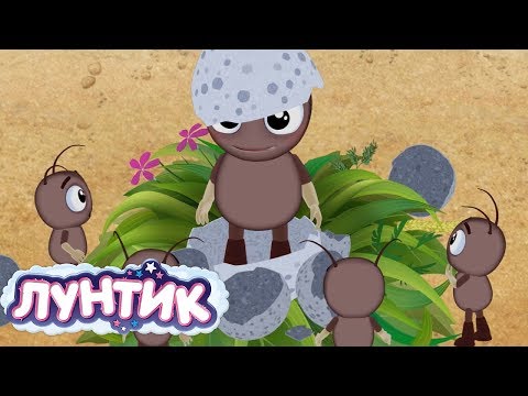 Видео: Лунтик | История малышей 🍼 Сборник мультфильмов для детей