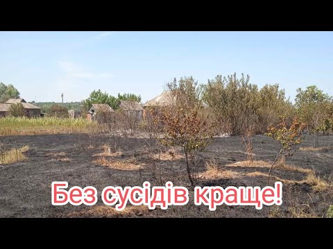 Видео: Чому через сусідів життя в селі може стати пеклом