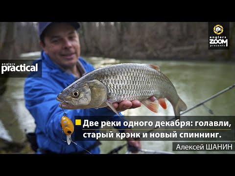 Видео: Две реки одного декабря: голавли, старый крэнк и новый спиннинг. Алексей Шанин. Anglers Practical