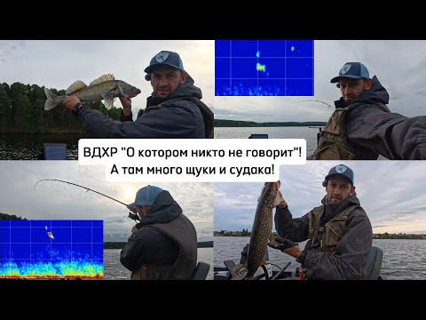 Видео: ВДХР "О нем никто не готворит", а там много щуки и судака! 