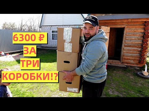 Видео: Новые НЕСУШКИ | Новый курятник | Новый огородный сезон