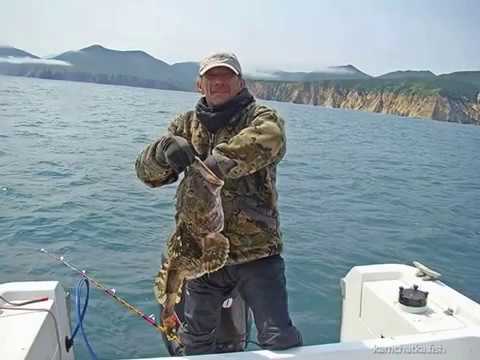 Видео: Рыбалка на Камчатке видео - ловля морского окуня и минтая, Тихий Океан