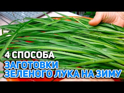 Видео: ПАСТА СОУС ИЗ ОСТАТКОВ ЗЕЛЕНИ/ЗЕЛЕНЫЕ ЩИ ЗАМОРОЗКА/ЛУК ЗЕЛЕНЫЙ ЗАГОТОВКА НА ЗИМУ@obovsemsmarusya