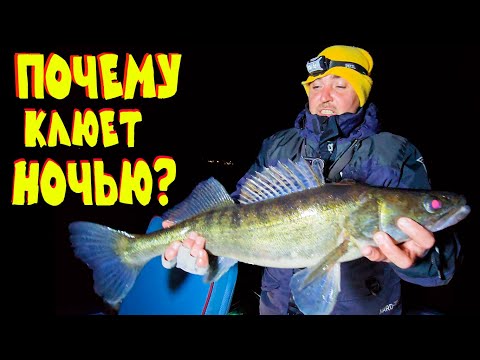 Видео: ЭКСПЕРЕМЕНТ УДАЛСЯ! Ночная рыбалка против дневной осенью.