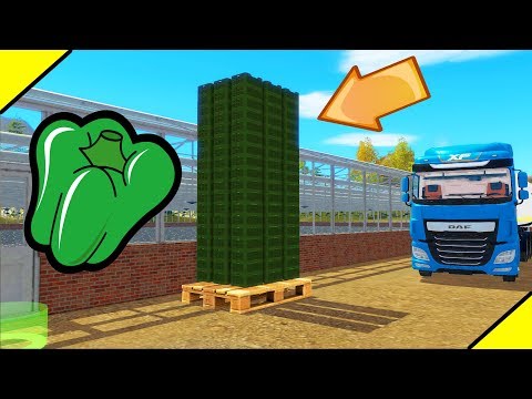 Видео: ПРОМЫШЛЕННАЯ ТЕПЛИЦА! ВЫГОДНО? Pure Farming 2018