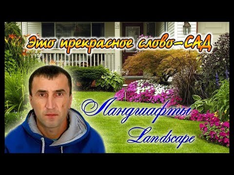 Видео: Скумпия. Особенности ухода и выращивания.