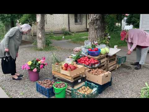 Видео: Михайловск. 3 июня 2022. Итогдалие. Прогулка. Walking in Russia