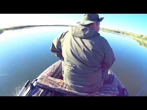 Видео: РЫБАЛКА НА ОРЛОВСКИХ ОЗЁРАХ 2021/САЗАН ЗМЕЕГОЛОВ/И МНОГО ЮМОРА