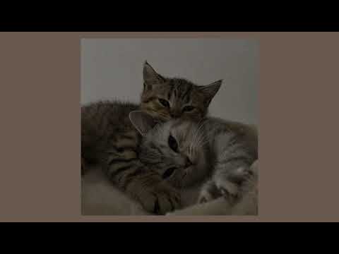 Видео: ёлка - около тебя (slowed)/около тебя мир зеленее