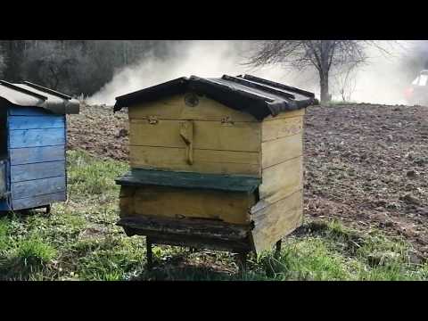 Видео: Посев Донника и Фацелии для пчел ручной сеялкой WOLF GARTEN