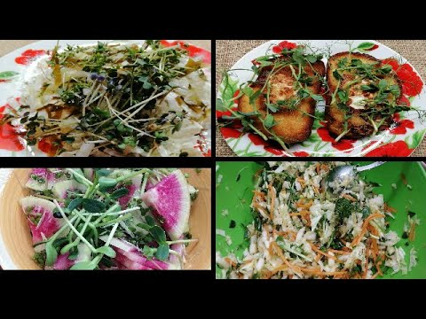 Видео: 👩🏻‍🌾🌱🌱МИКРОЗЕЛЕНЬ В ДОМАШНЕЙ КУХНЕ. КАК И С ЧЕМ ЕСТЬ МИКРОЗЕЛЕНЬ