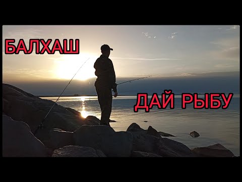 Видео: Рыбалка. Балхаш - Разрез.