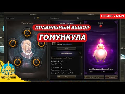 Видео: Гомункулы в Lineage 2 Main Гайд для новичков по выбору Гомункула | Руофф 4game