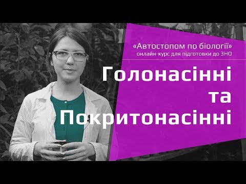 Видео: Голонасінні та Покритонасінні – Підготовка до ЗНО – Біологія