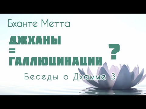 Видео: Абхидхамма и Висудхимагга не нужны? Стадии очищения и пять помех. Бханте Метта.