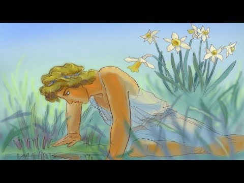 Видео: нарциссическая травма