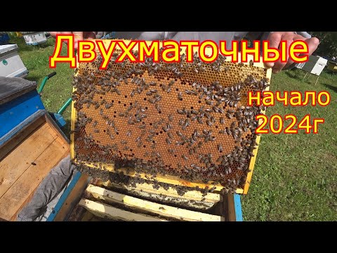 Видео: ДВУХМАТОЧНЫЕ! История начинается, сезон 2024 года!