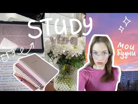 Видео: study vlog📚 подготовка к егэ, мои мысли | fall ver. ep2