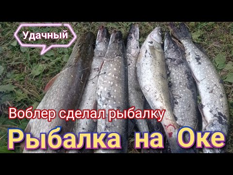 Видео: рыбалка  на ОКЕ в последние дни лета,троллинг для души в прекрасную погоду