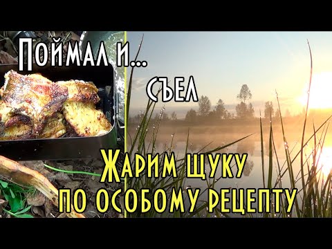 Видео: Жареная рыба по оригинальному и простому рецепту. На рыбалке. Как щуку нарекли ОКОРОЧКАМИ