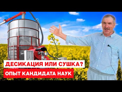Видео: Десикация или сушка? Опыт кандидата наук.