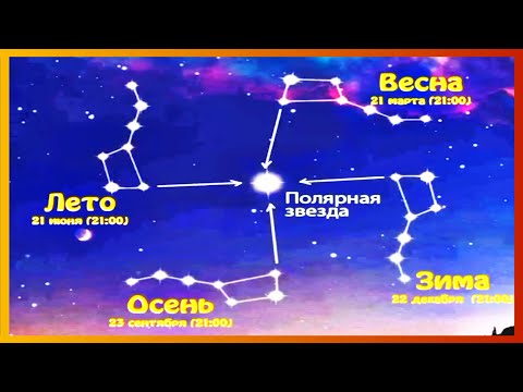 Видео: тикток нашел пасхалку | подборка мемов