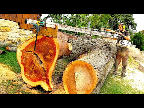 Видео: Гигантское дерево против бензопилы длиной 2,13 м! Превращение ствола и пня в идеальные доски