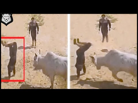 Видео: Такого Никто не Ожидал! Случаи Нападения Животных на Людей, Снятые на Камеру