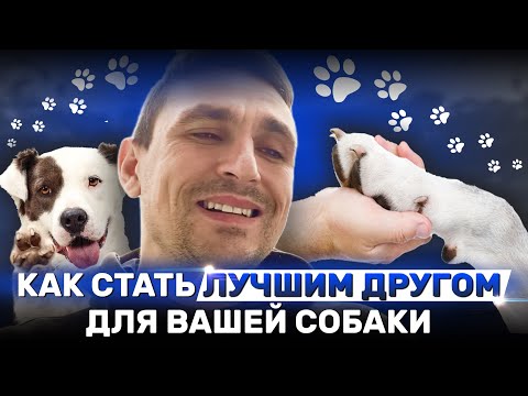 Видео: Как стать лучшим другом для Вашей собаки