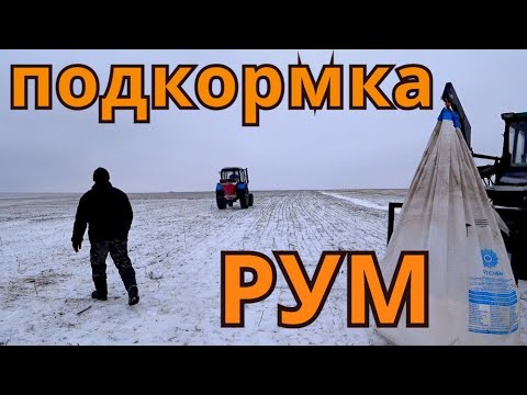 Видео: Зачем так рано? Подкормка озимой пшеницы РУМ селитрой.