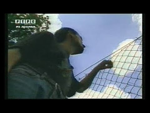 Видео: 331 дан у затвору Трново [eng sub]